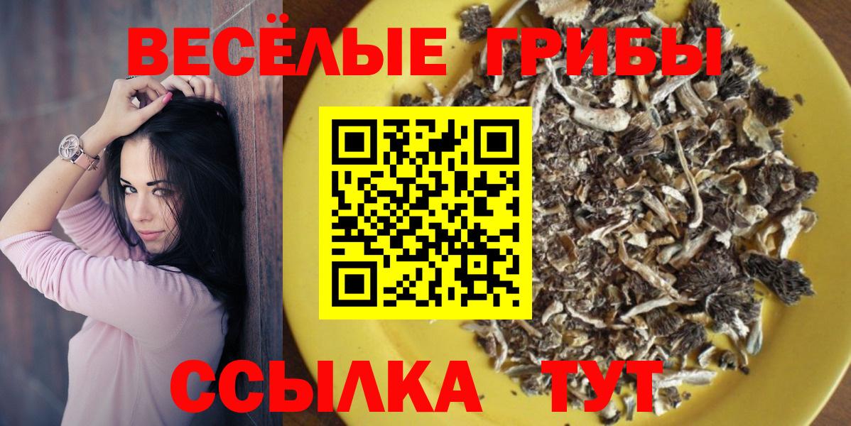Таганрог  цена   Вход с VPN  Галлюциногенные грибы Psilocybe 